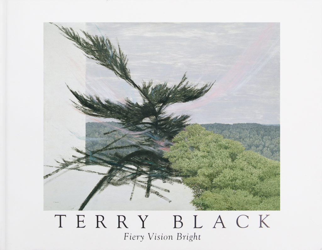 Book Cover - TERRY BLACK Fiery Vision Bright