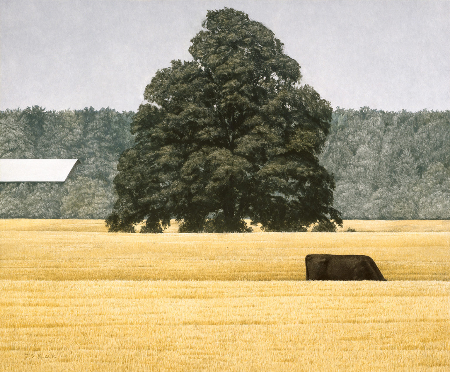 Painting Title - Balance Owing | Terry Black