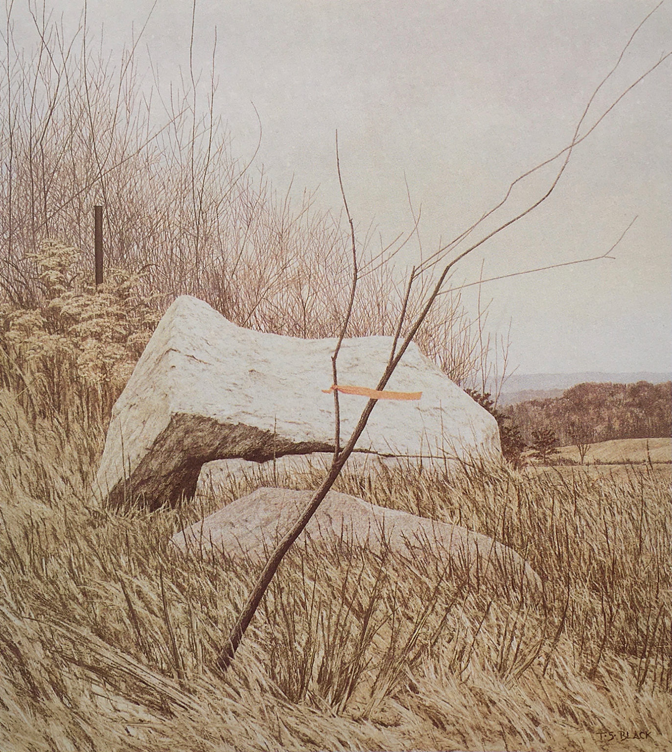 Painting Title - Boundary Work | Terry Black