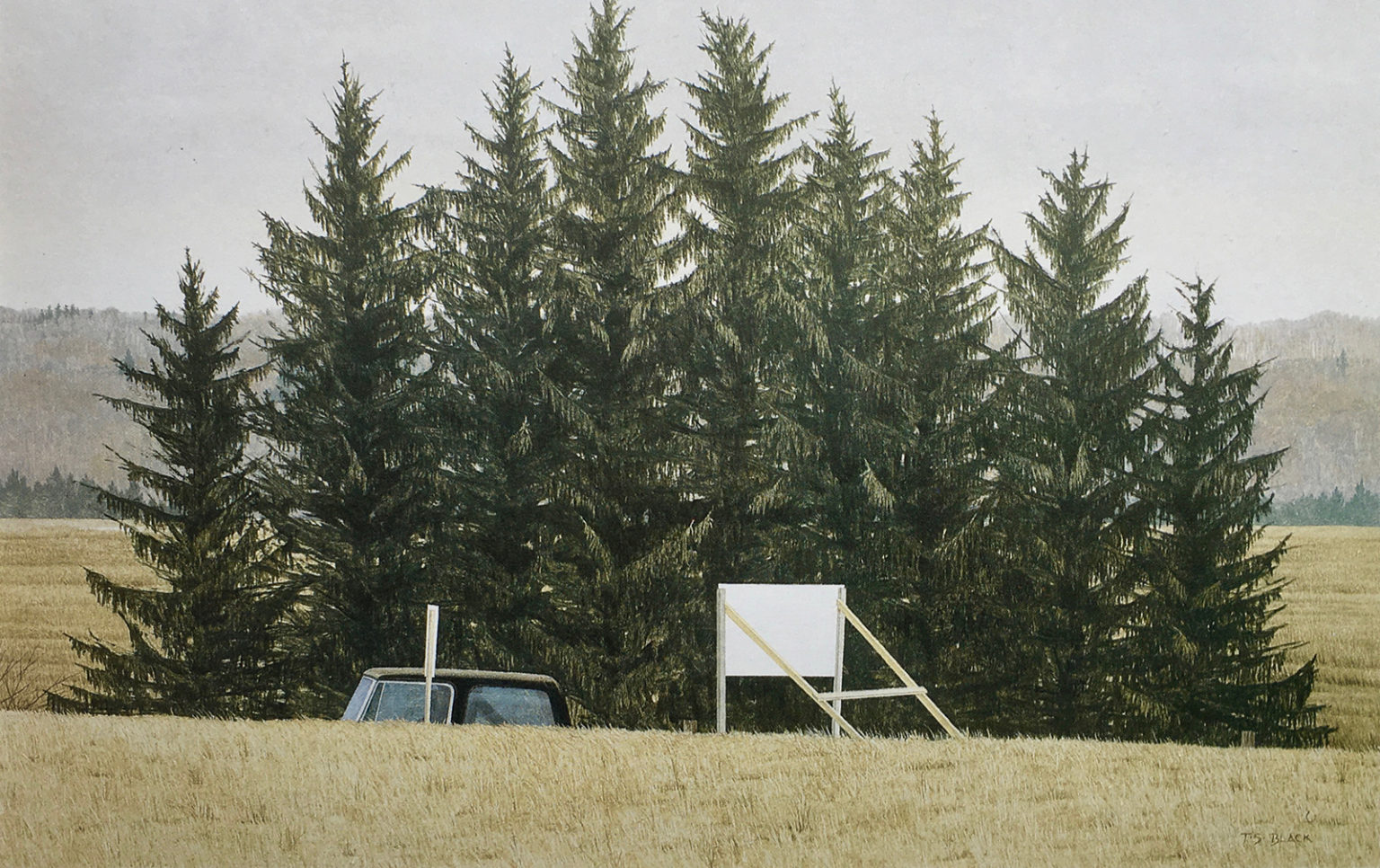 Painting Title - Election Issue | Terry Black