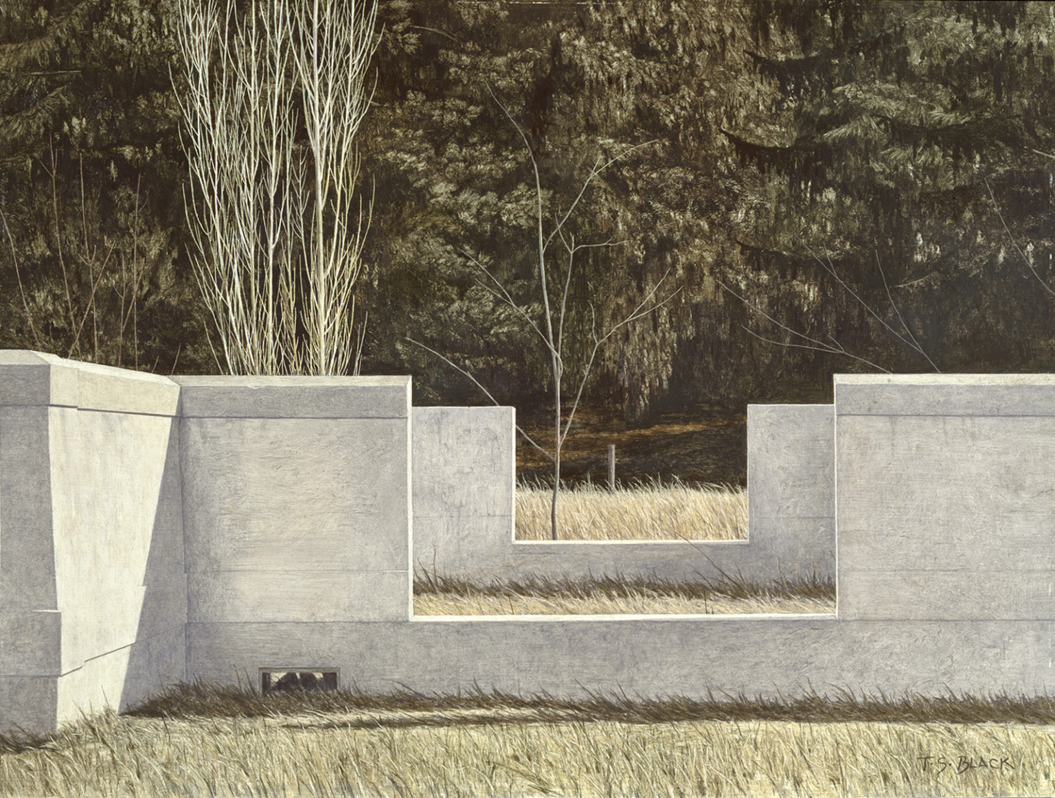 Painting Title - Miller's Rite of Passage | Terry Black