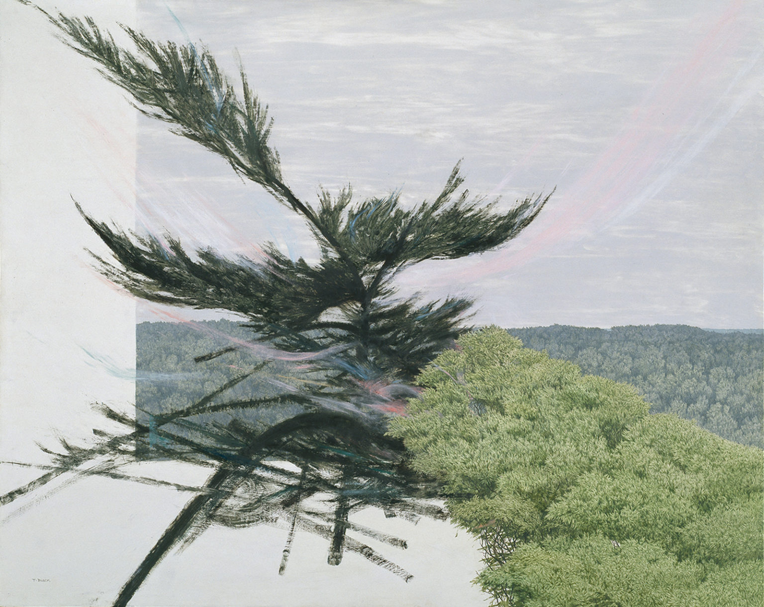 Painting Title - Pine Trilogy | Terry Black