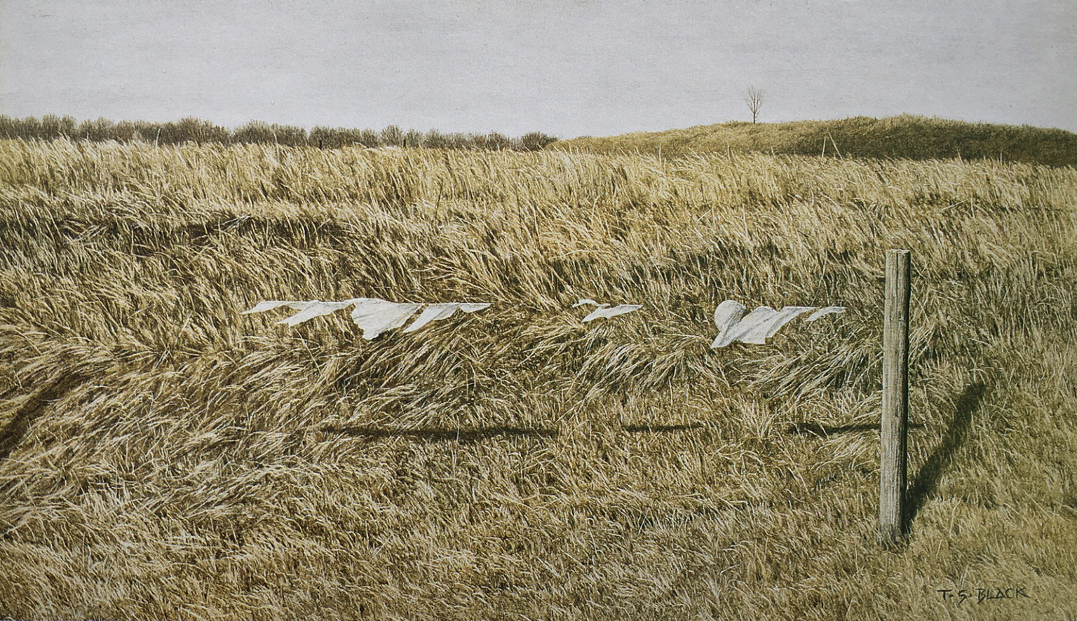 Painting Title - Steady March | Terry Black