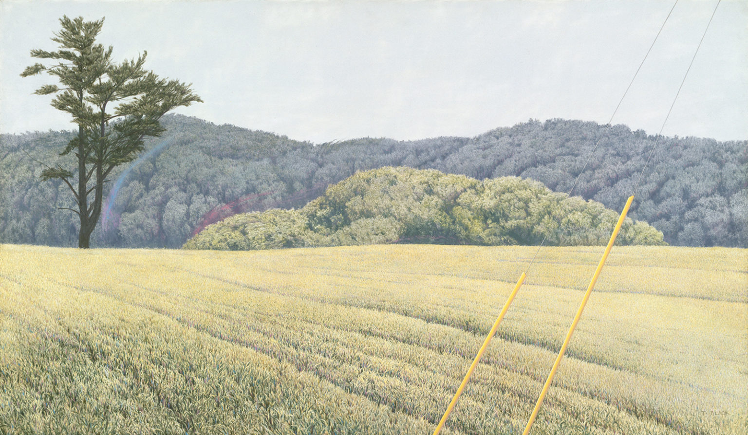 Painting Title - Sweet Conviction | Terry Black