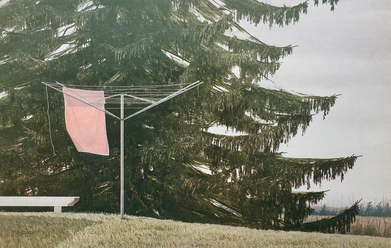 Painting Title - Trade Winds | Terry Black