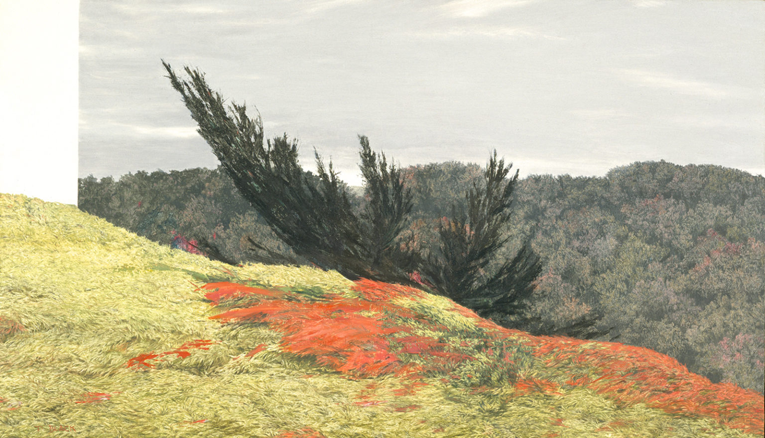 Painting Title - Vermilion Hill | Terry Black